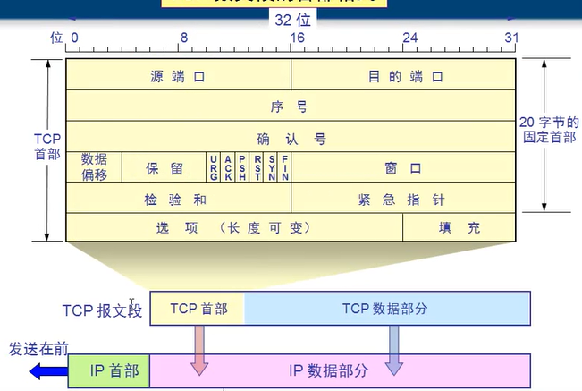 TCP10