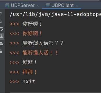UDP Client