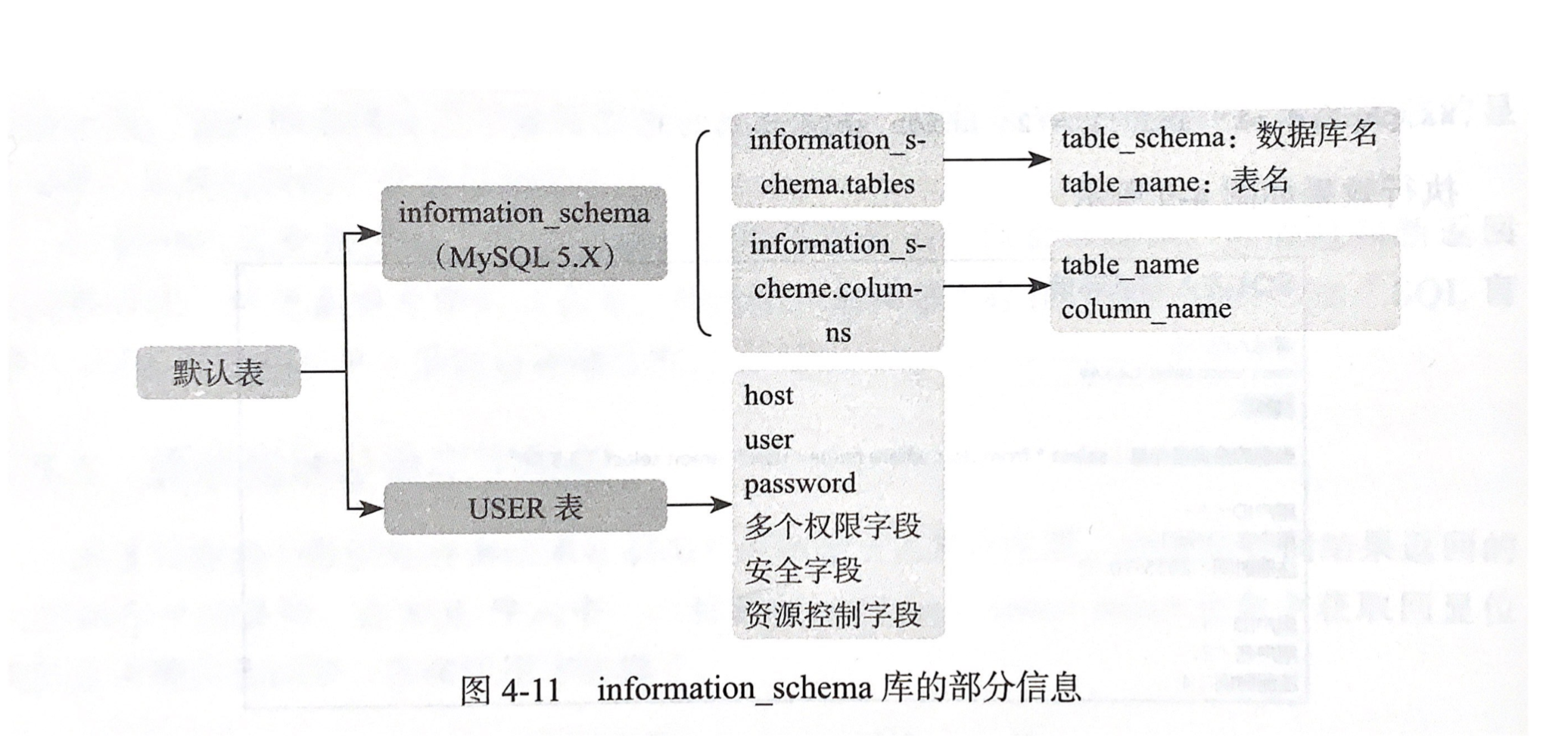 information_ schema