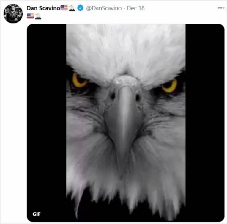 特朗普的特别顾问来了!|圣诞老人冲浪(海滩广播)