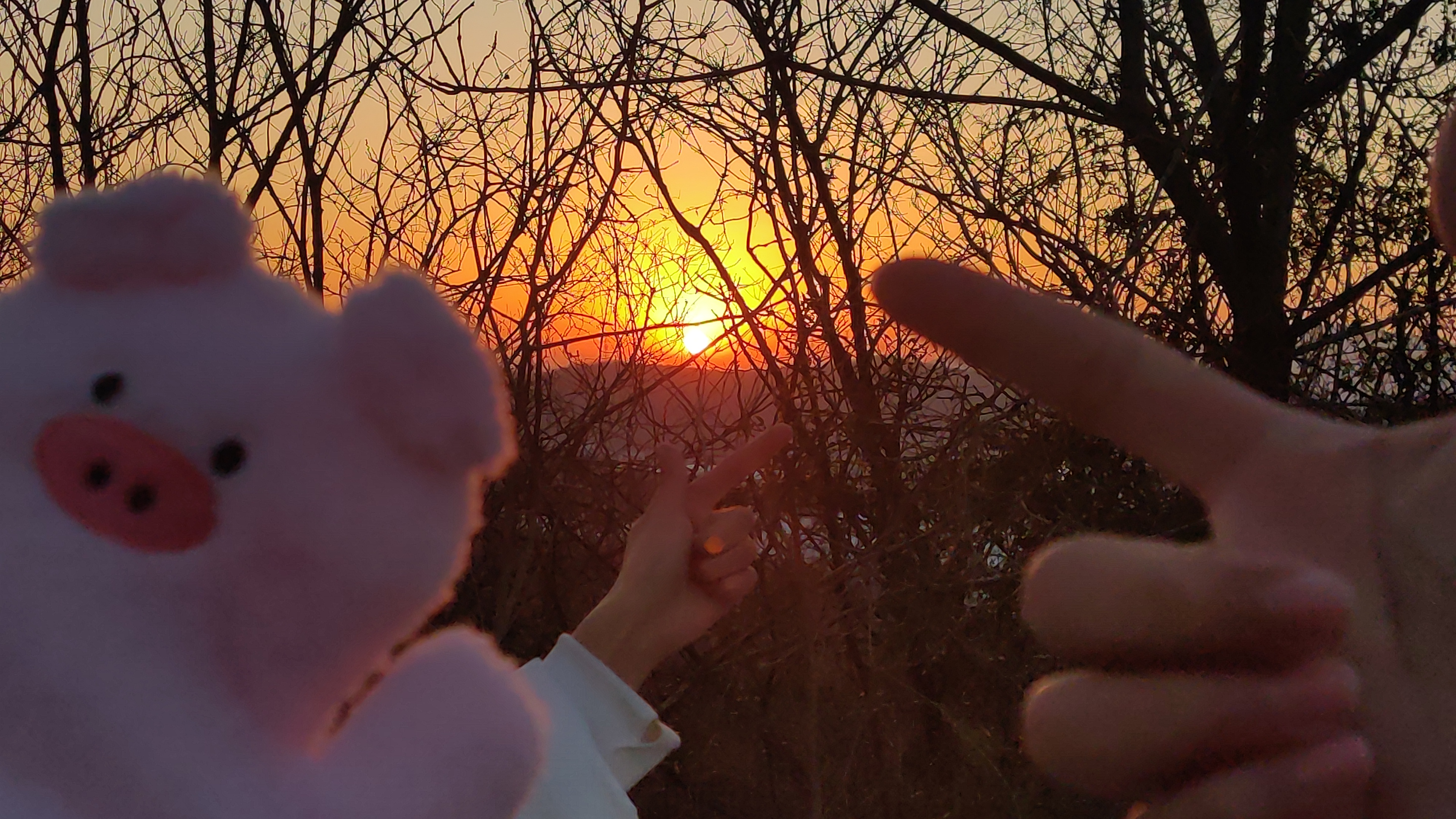 2021年第一缕阳光-南大仙林天文台日出！