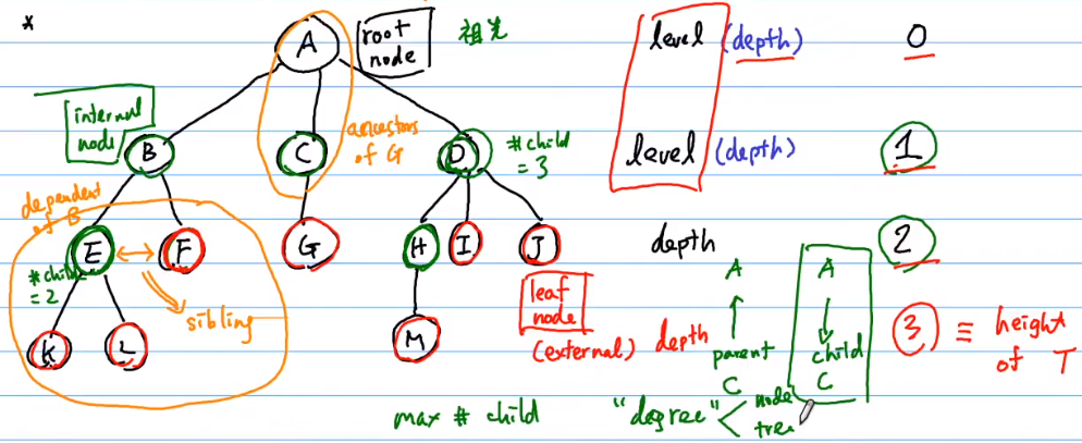 Lesson 8 Tree - 图3