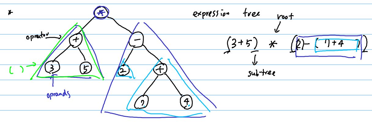 Lesson 8 Tree - 图13