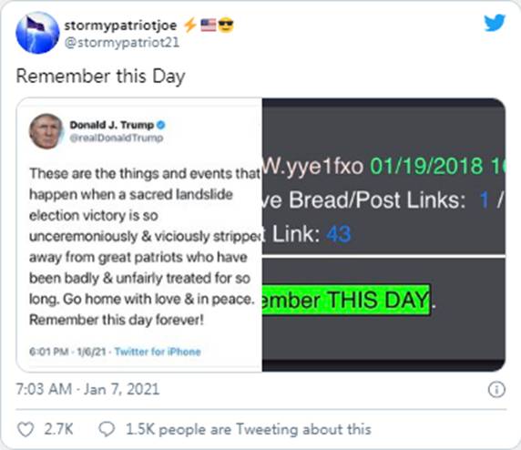 抗议者占领国会大厦|Sierra(NZ)