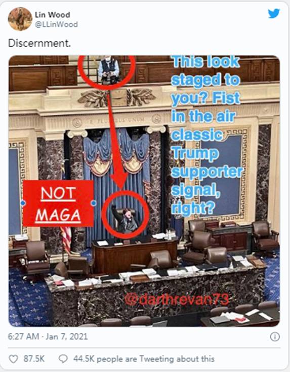 抗议者占领国会大厦|Sierra(NZ)