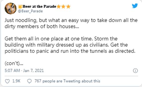 抗议者占领国会大厦|Sierra(NZ)