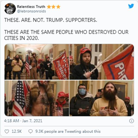 抗议者占领国会大厦|Sierra(NZ)