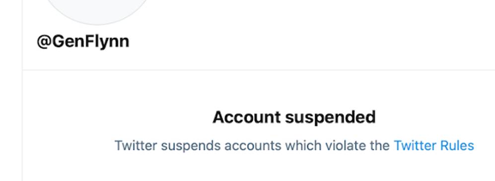 弗林将军的最后一条推特:暴风雨来了,痛苦来了|Kat