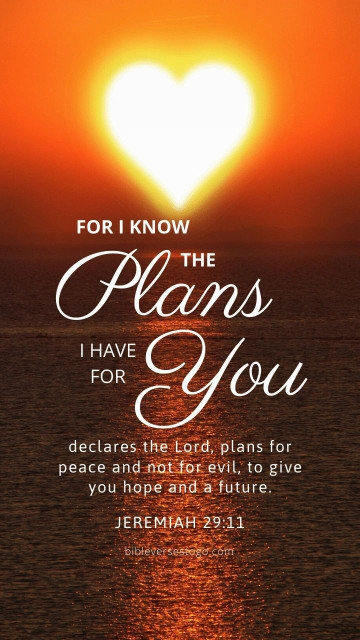 TRUMPSARA 正在发生,总统全球角色|圣诞老人冲浪(海滩广播)