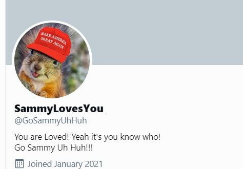 他们不想让你看到或知道的东西|圣诞老人冲浪(海滩广播)