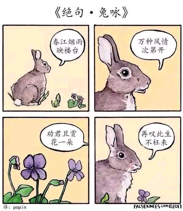 rabbit.jpg