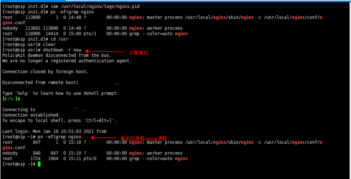 重启查看nginx进程.png