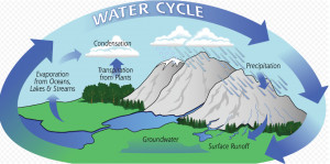 最后的警钟| 货币贬值者