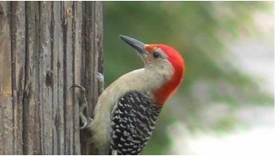 瑞典银河真理报|第321期 我们处于战争中