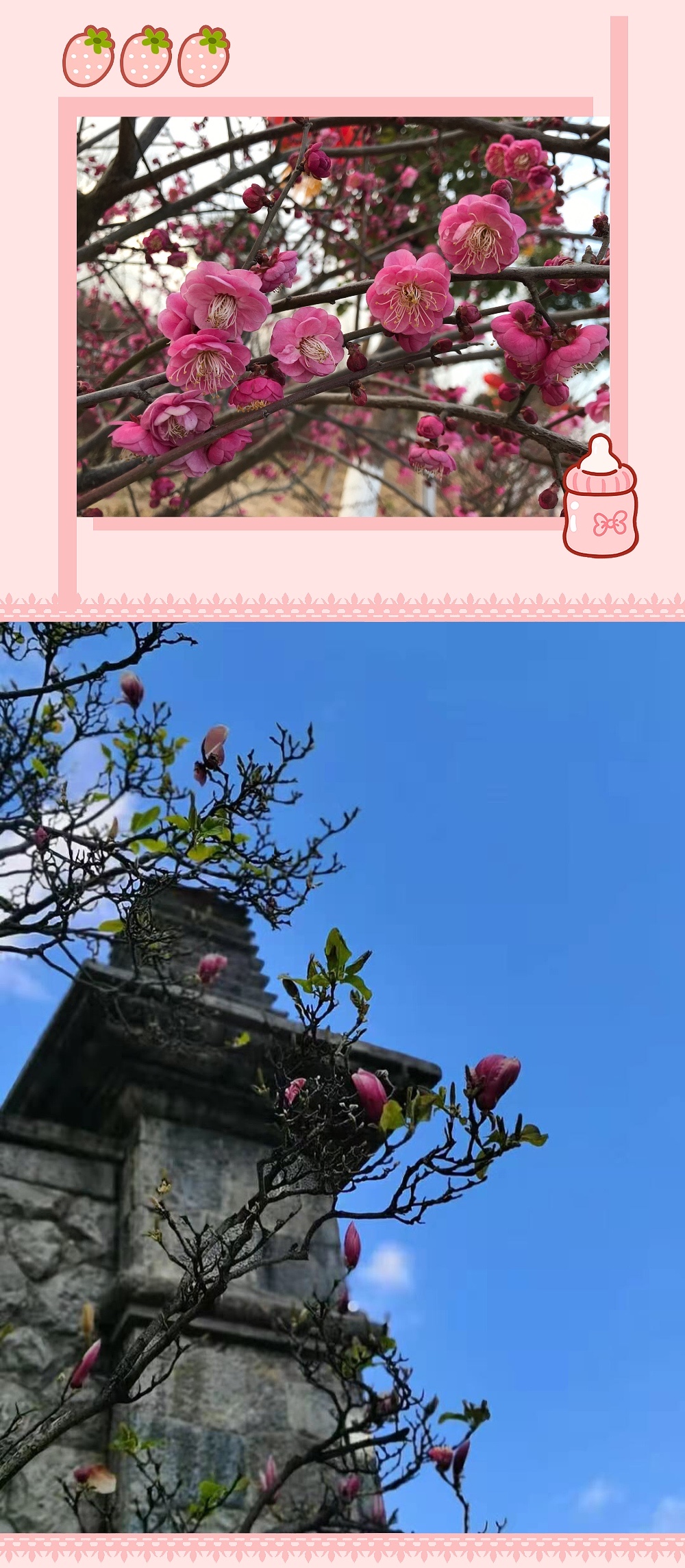 春天己經到達 Dclick