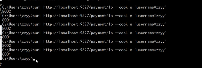 image-20210209135357601