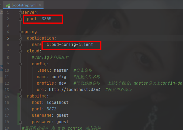 image-20210210102608425