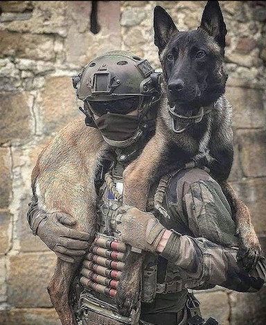 查理•沃德:一切都准备好了!QFS 准备好了!这都是关于上帝的时间和一些博客笔记|Kat