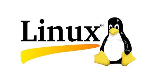 初识Linux操作系统