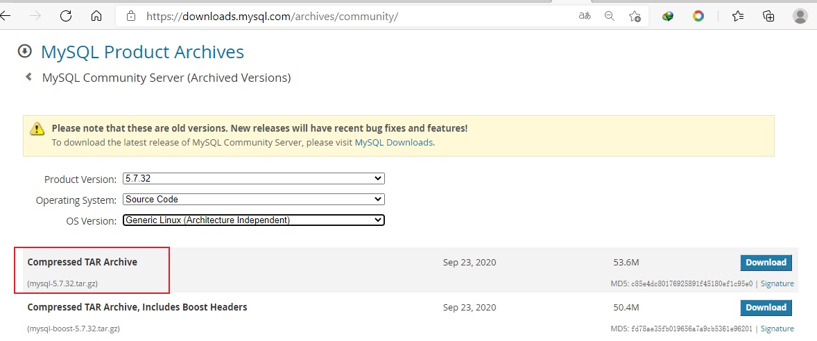 image-20210317163318307