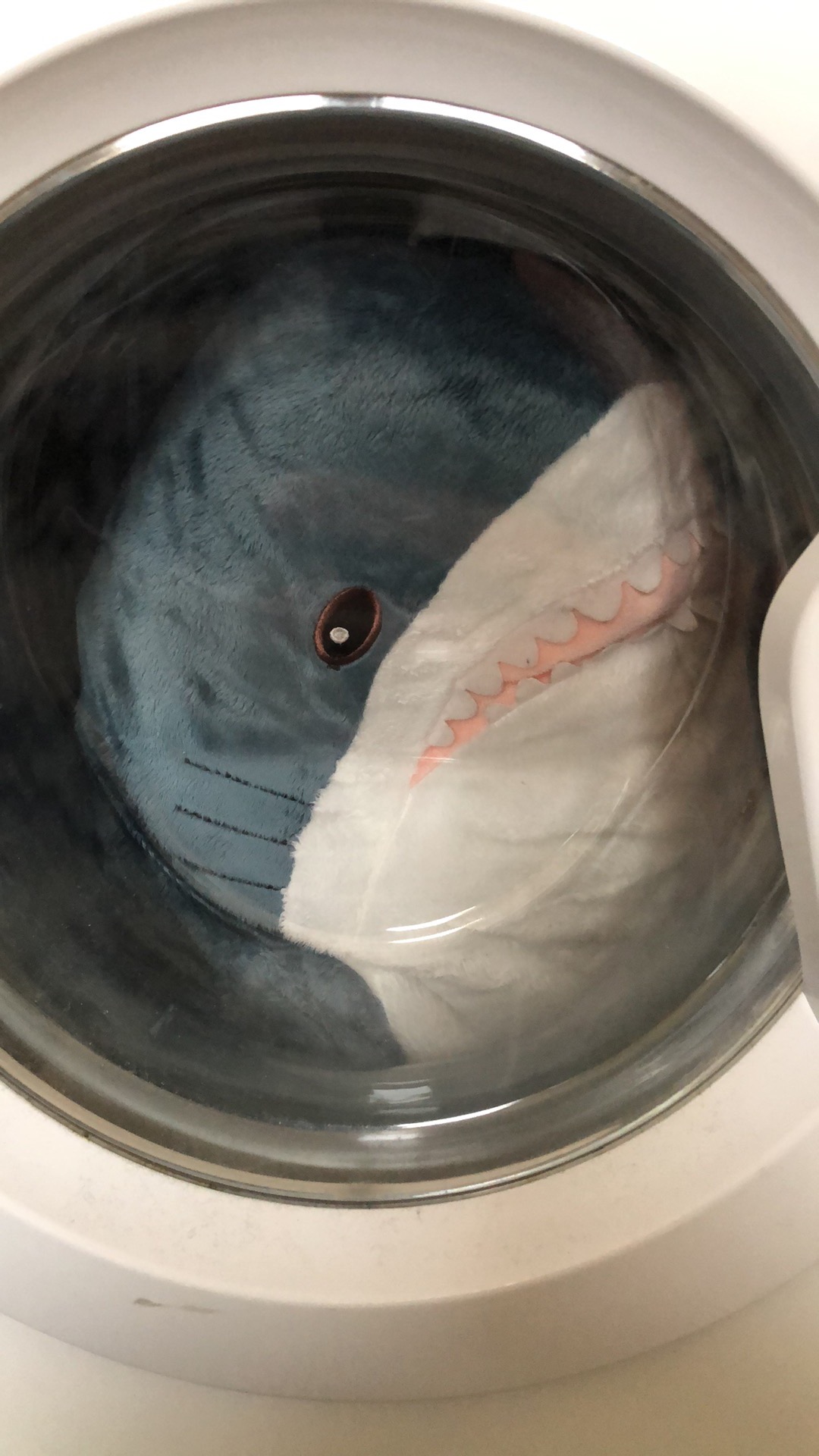 主题:我妈把我弟扔到洗衣机里洗了…… [47]收藏该贴已收藏只看楼主