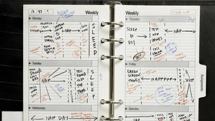 复活节前夕|Sierra’s 星际之门通讯