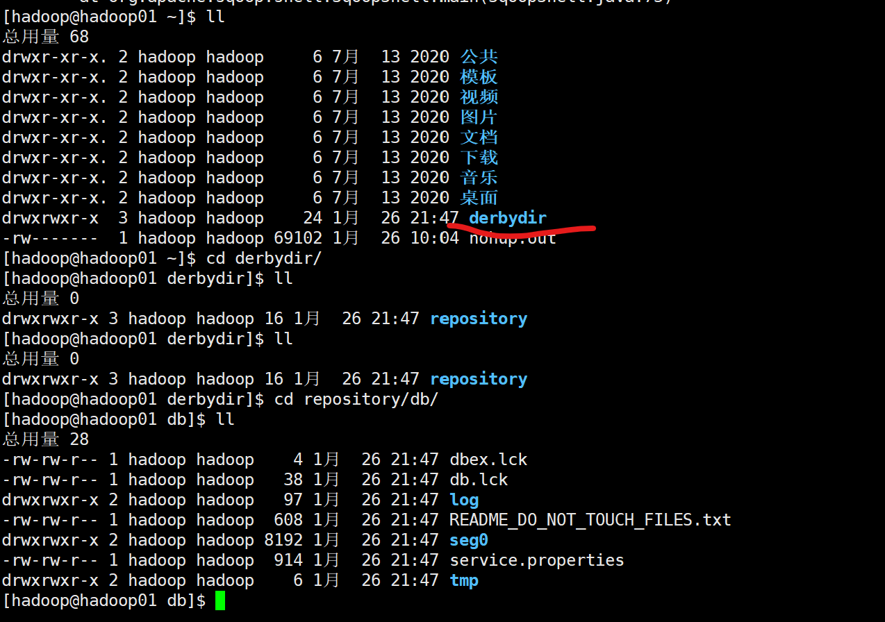 image-20210126215734954