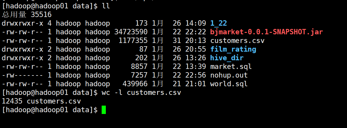 image-20210131203007305