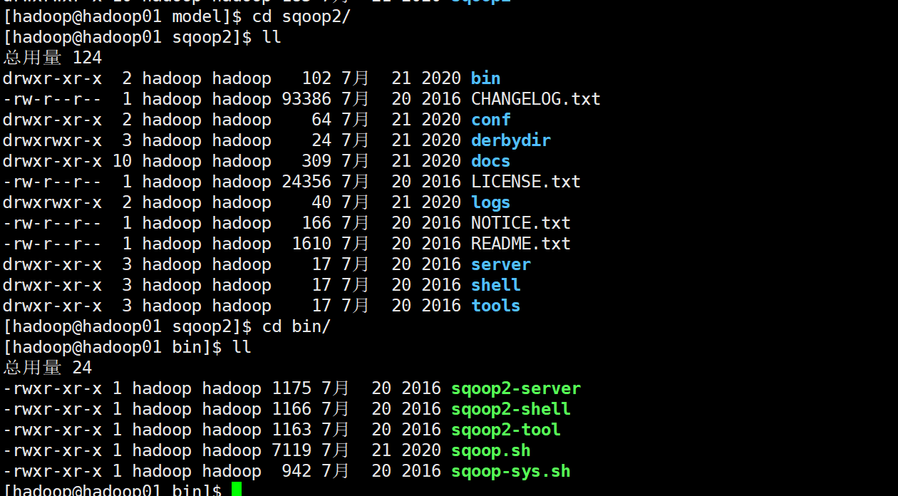 image-20210126210604638