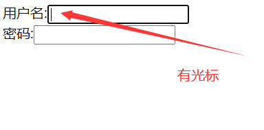 image-20210308130727979