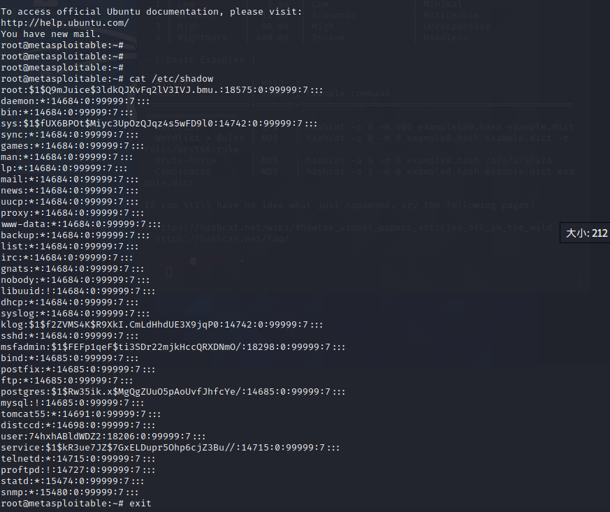 image-20210329163832287