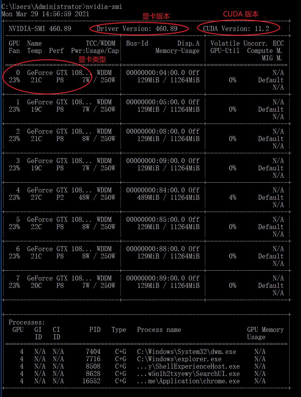 image-20210329145841400