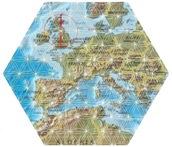 为什么我们需要在我们的日常冥想练习中使用生命之花?|我们爱集体冥想