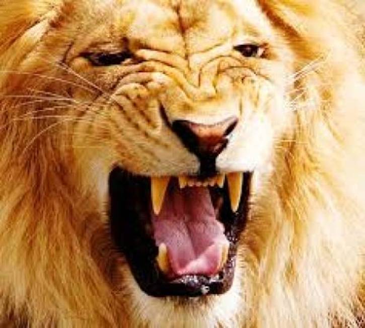 2021年4月1日:Ch-Ch-Ch-Ch-转变…。已经在路上了|星际飞船地球