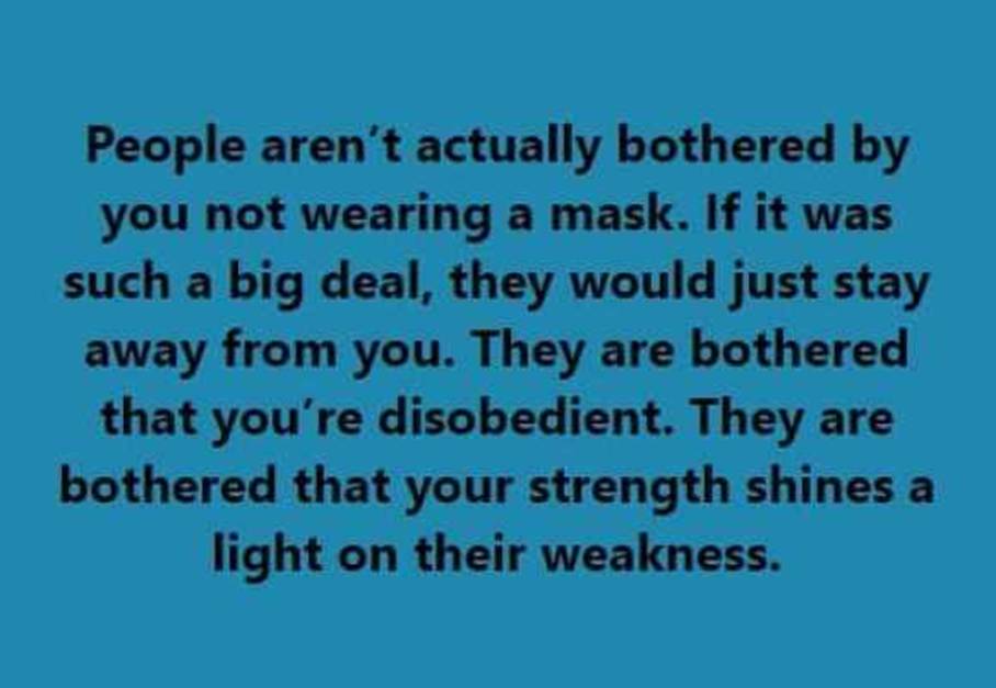 2021年4月1日:Ch-Ch-Ch-Ch-转变…。已经在路上了|星际飞船地球