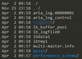 docker容器内部目录