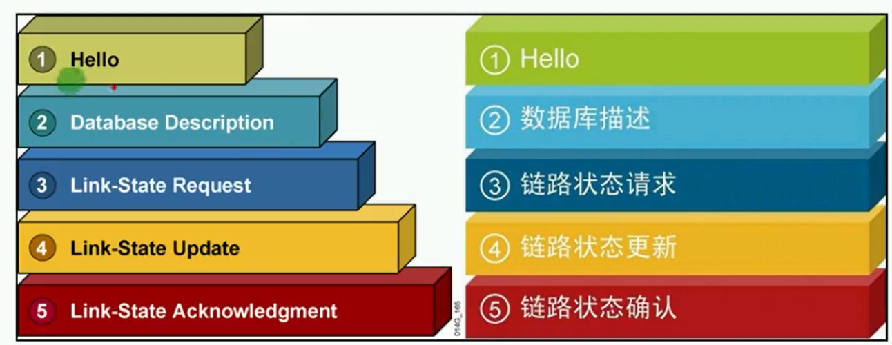 alt OSPF数据包类型