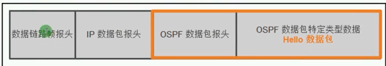 alt OSPF数据包结构