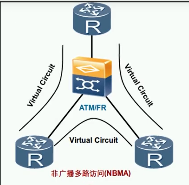 alt OSPF帧中继网络