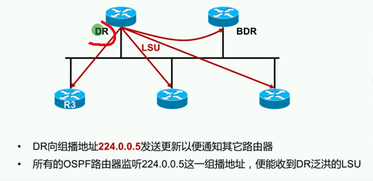 alt OSPF-DR&BDR地址