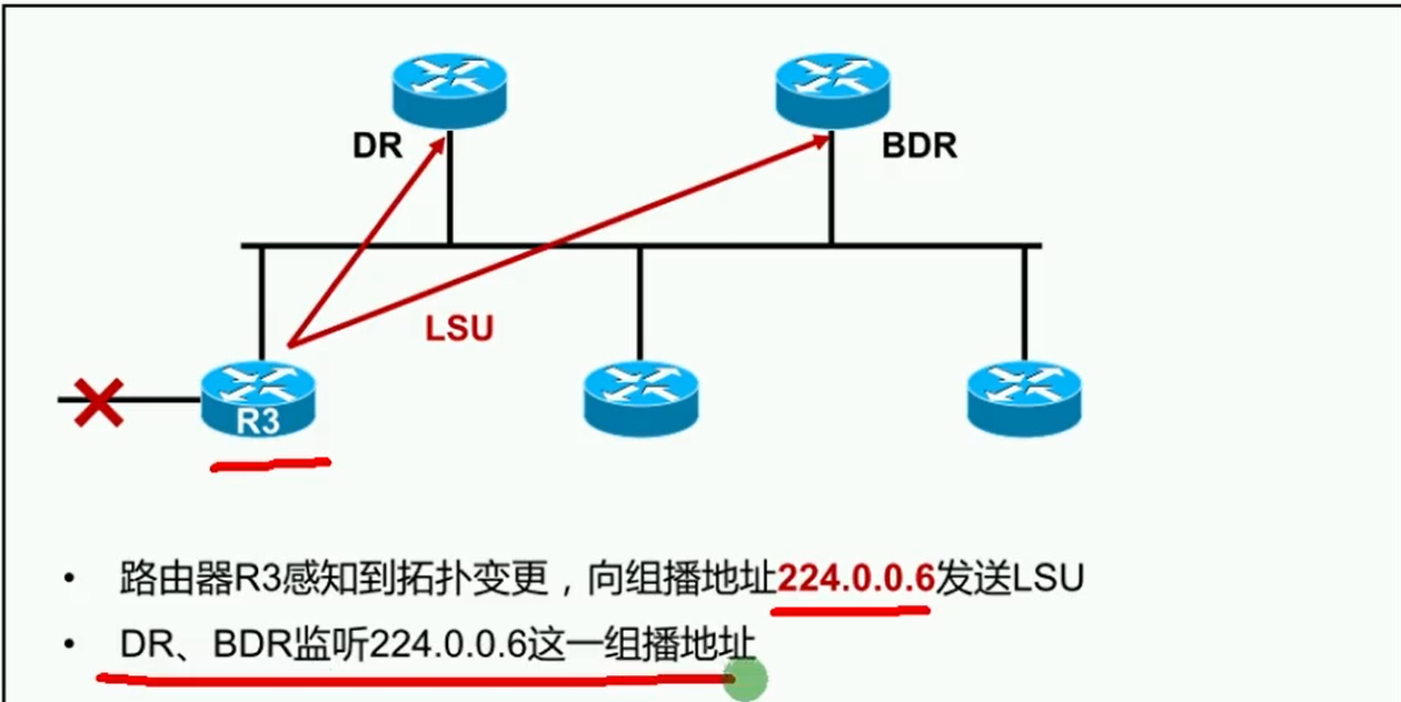 alt OSPF-DR&BDR地址