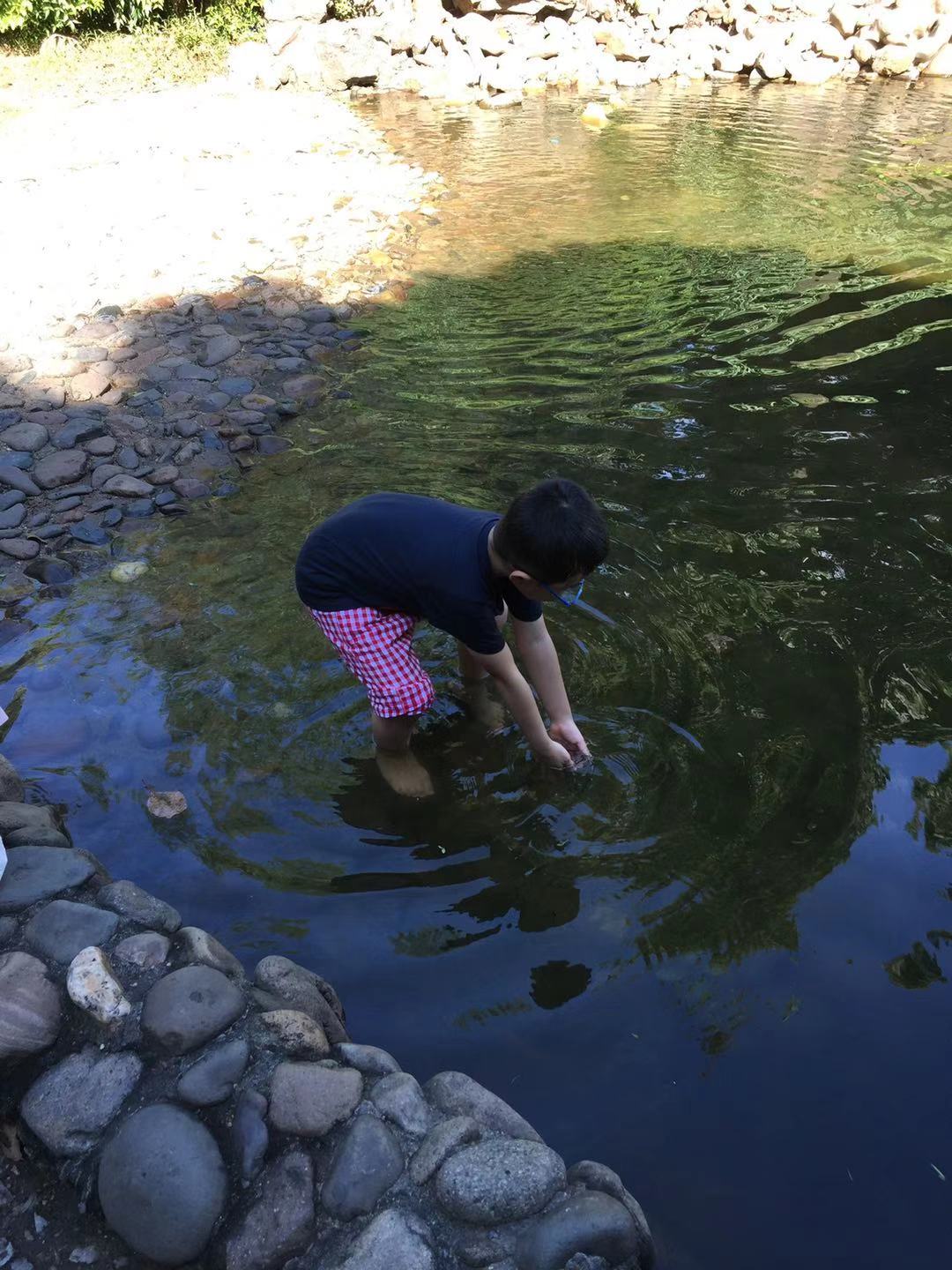 临平山的夏天