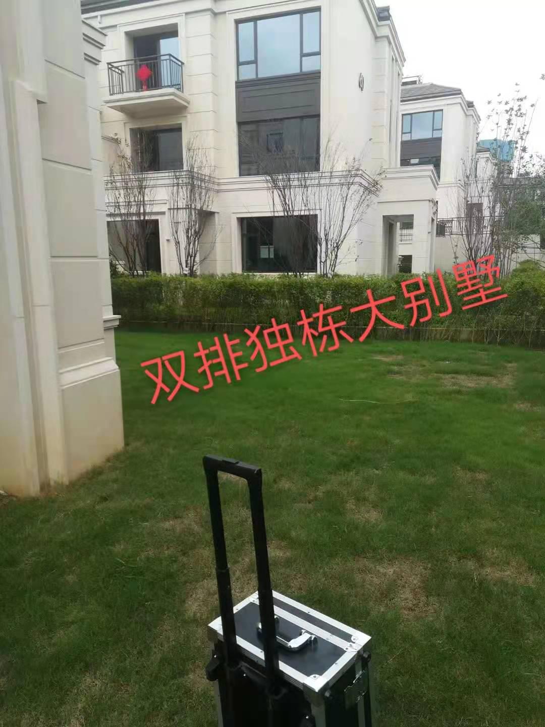 双排独栋大别墅