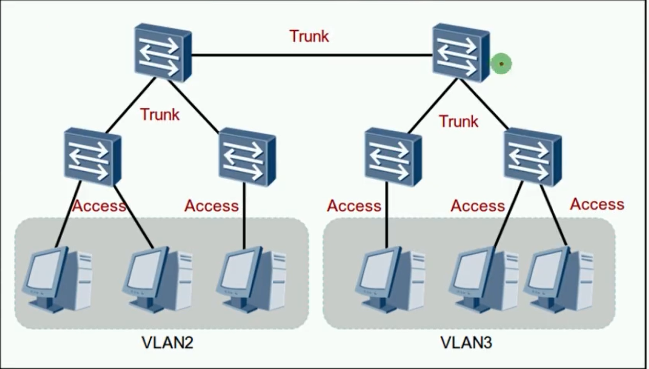 alt VLAN链路类型