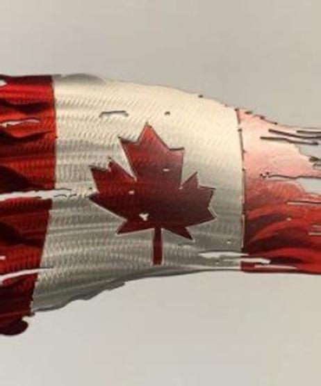 2021年4月19日:顽固的正常人很快将别无选择| 星际飞船地球