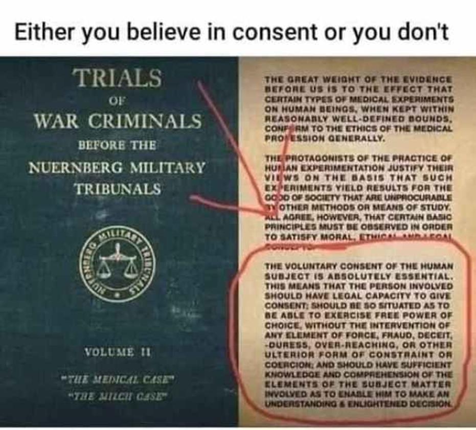 2021年4月20日:老鼠的奔跑|星际飞船地球