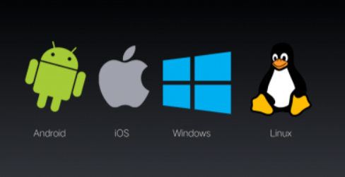 image-20210421162321656