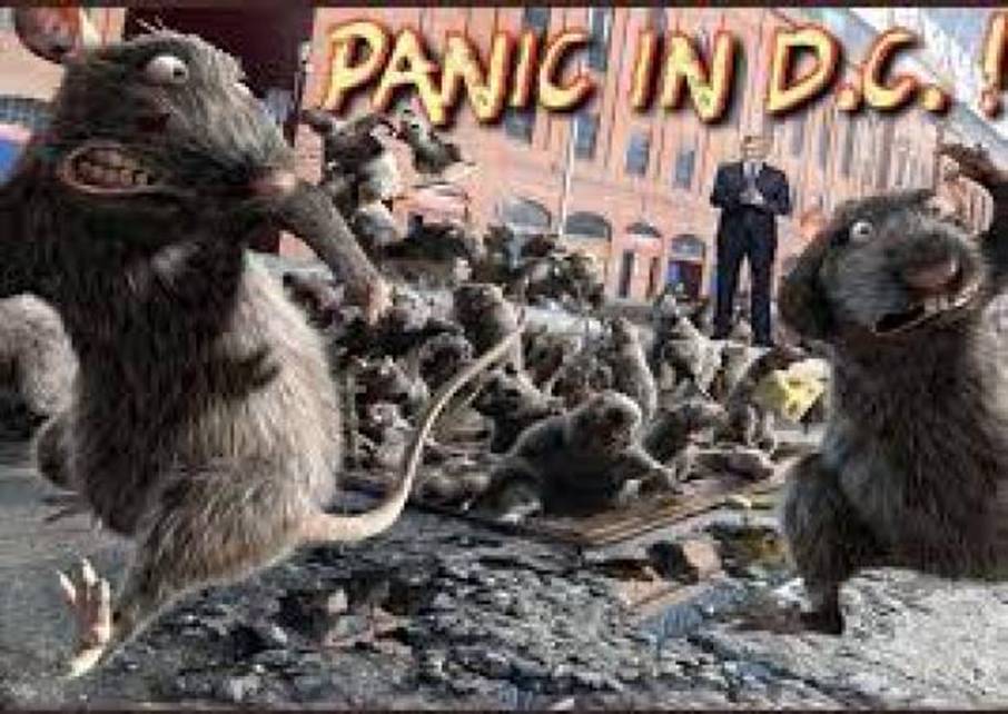 2021年4月20日:老鼠的奔跑|星际飞船地球