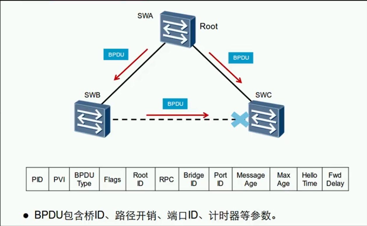 alt BPDU类型