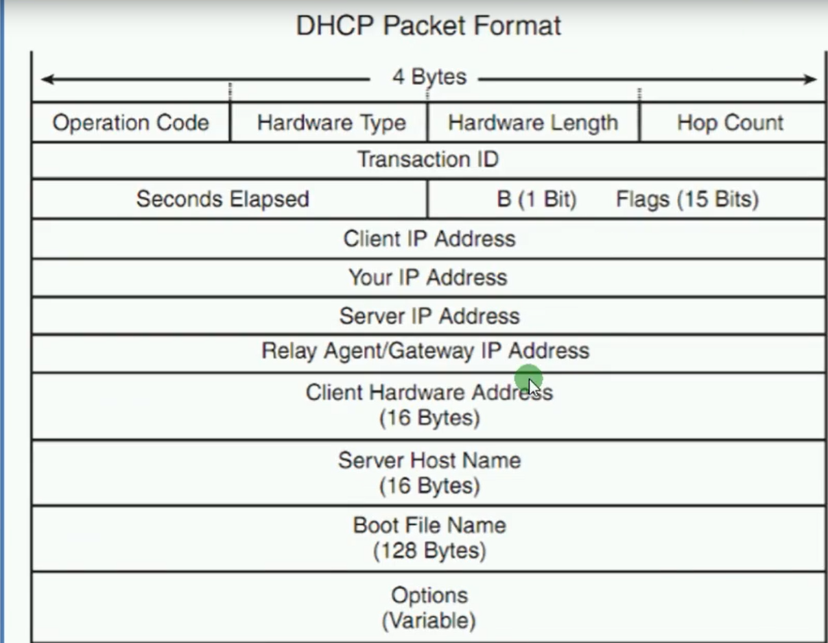 alt DHCP报文结构